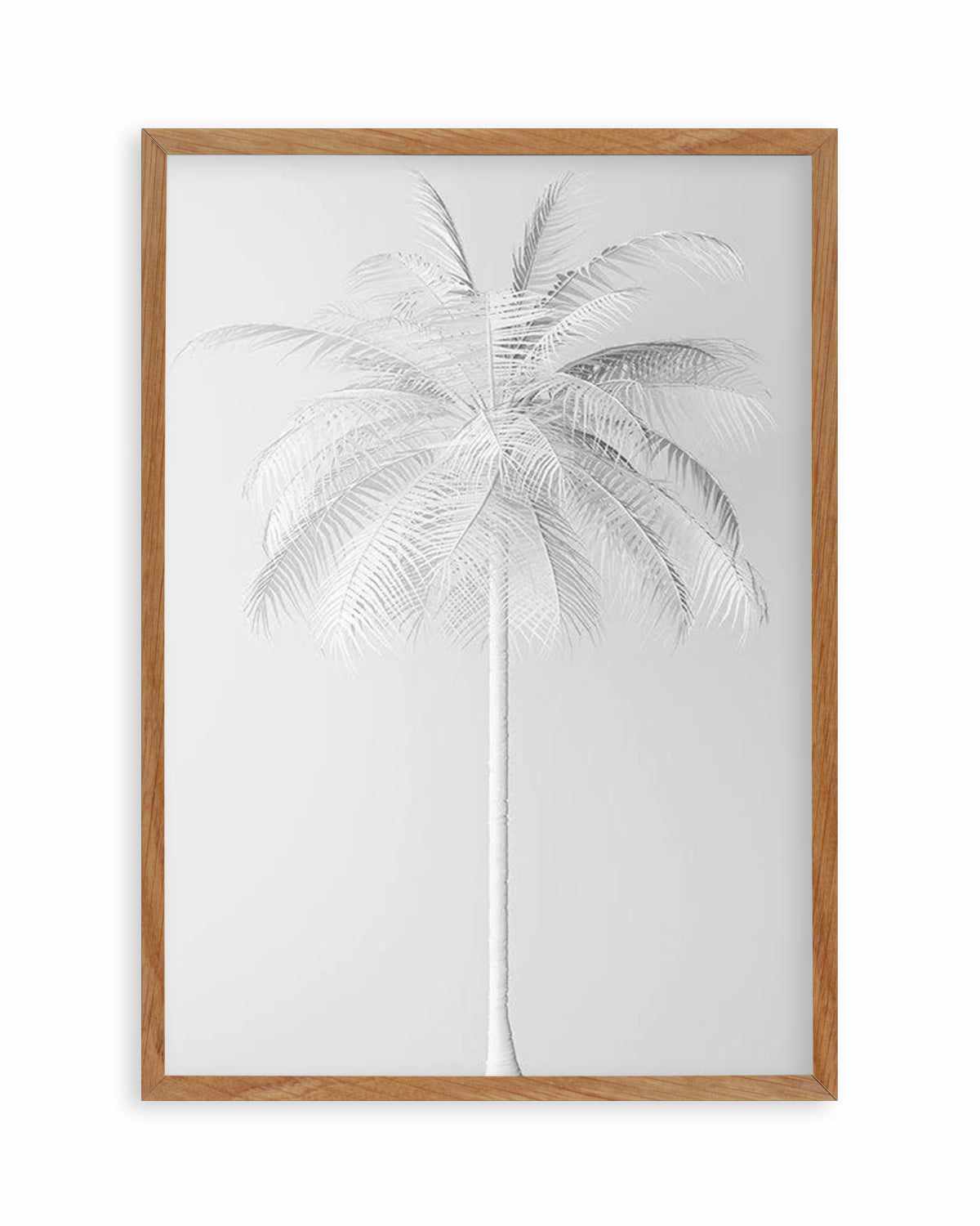 White Palm Tree Illustration | Illustrated Art Poster & Print – Olive ...