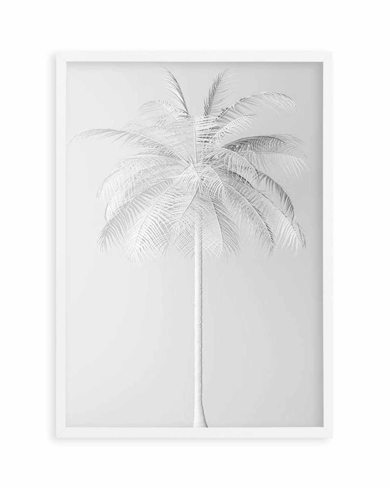 White Palm on Grey   Art Print