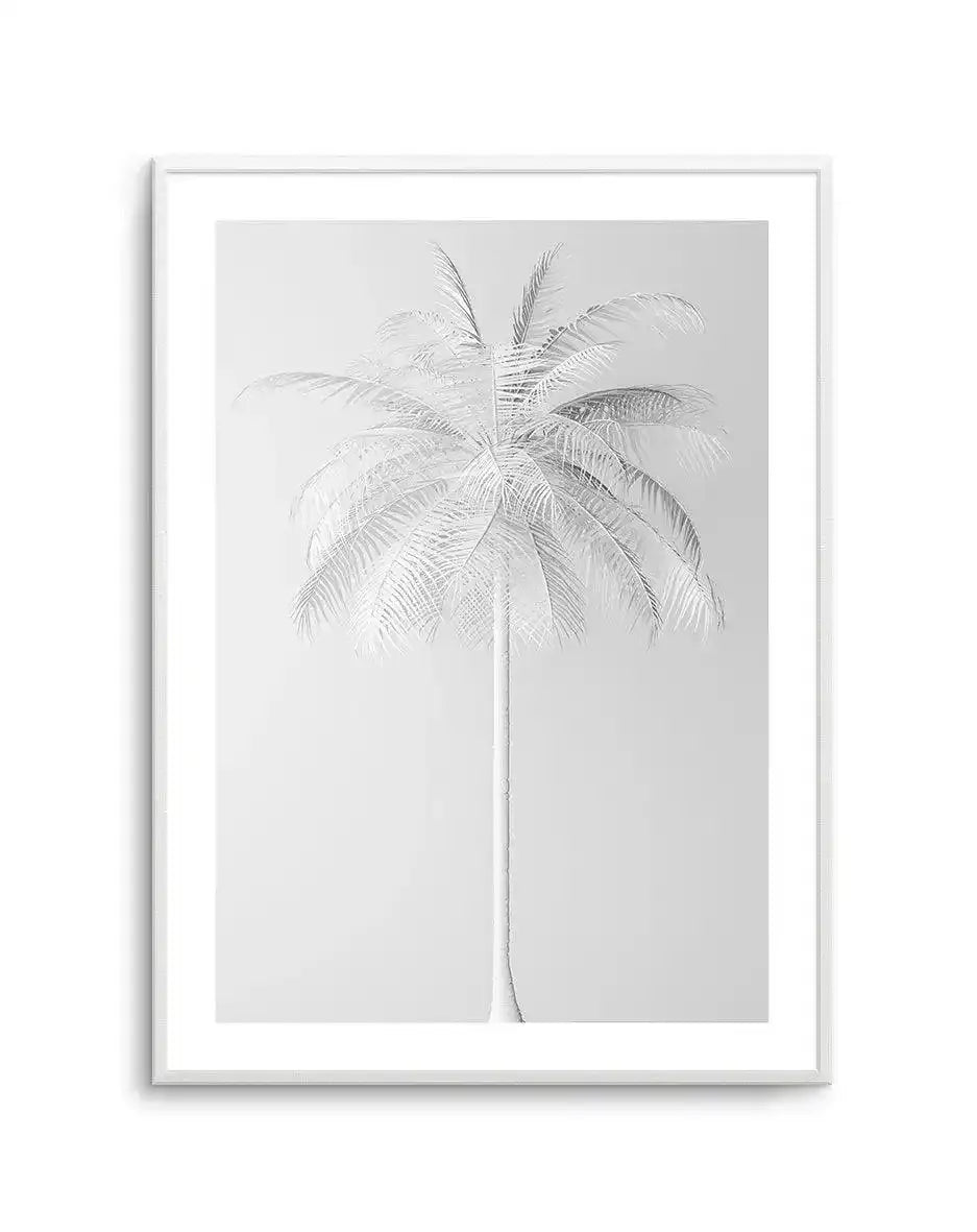 White Palm on Grey Art Print-PRINT-Olive et Oriel-Olive et Oriel-A5 | 5.8" x 8.3" | 14.8 x 21cm-Unframed Art Print-With White Border-Buy-Australian-Art-Prints-Online-with-Olive-et-Oriel-Your-Artwork-Specialists-Austrailia-Decorate-With-Coastal-Photo-Wall-Art-Prints-From-Our-Beach-House-Artwork-Collection-Fine-Poster-and-Framed-Artwork