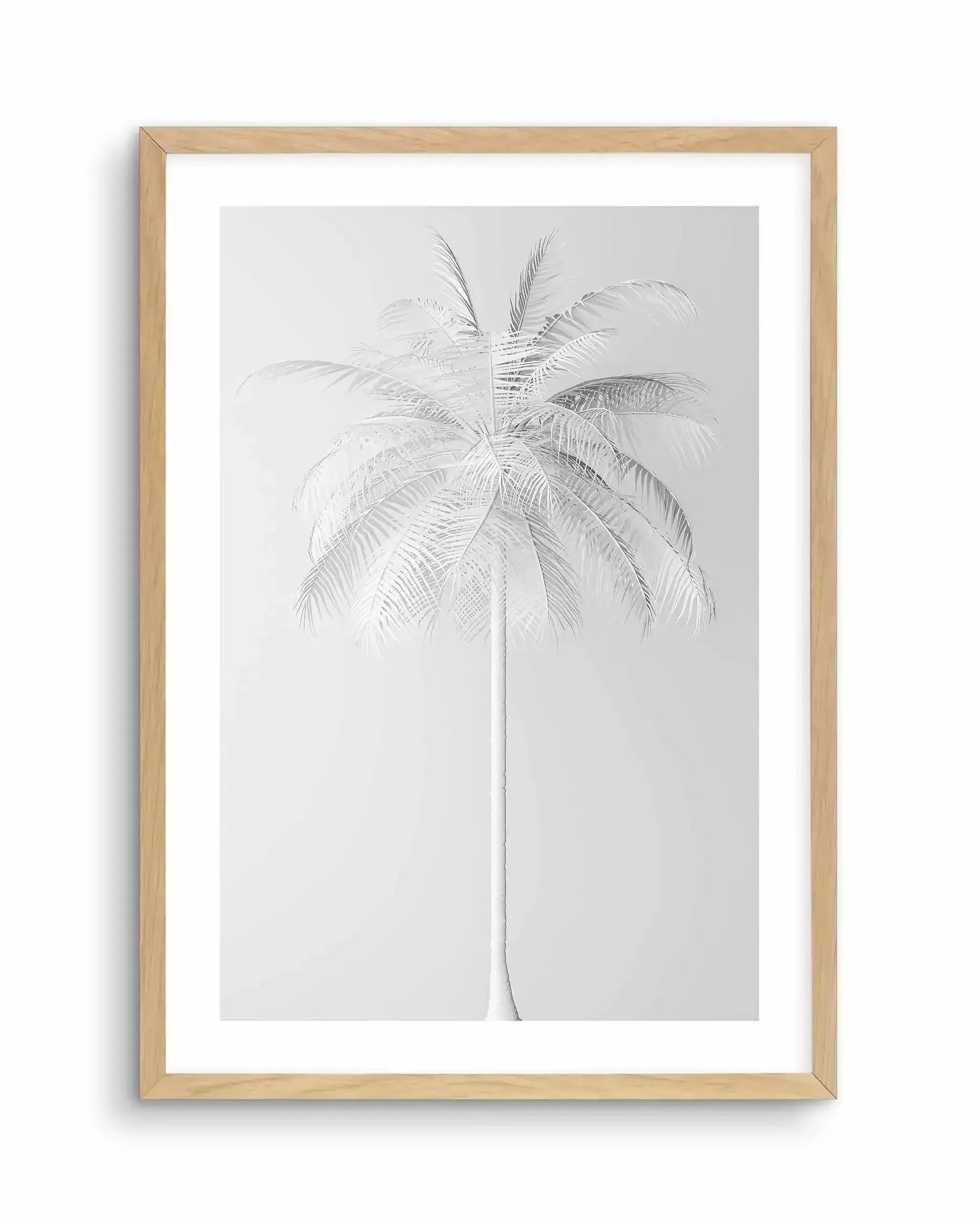White Palm on Grey Art Print-PRINT-Olive et Oriel-Olive et Oriel-A5 | 5.8" x 8.3" | 14.8 x 21cm-Oak-With White Border-Buy-Australian-Art-Prints-Online-with-Olive-et-Oriel-Your-Artwork-Specialists-Austrailia-Decorate-With-Coastal-Photo-Wall-Art-Prints-From-Our-Beach-House-Artwork-Collection-Fine-Poster-and-Framed-Artwork