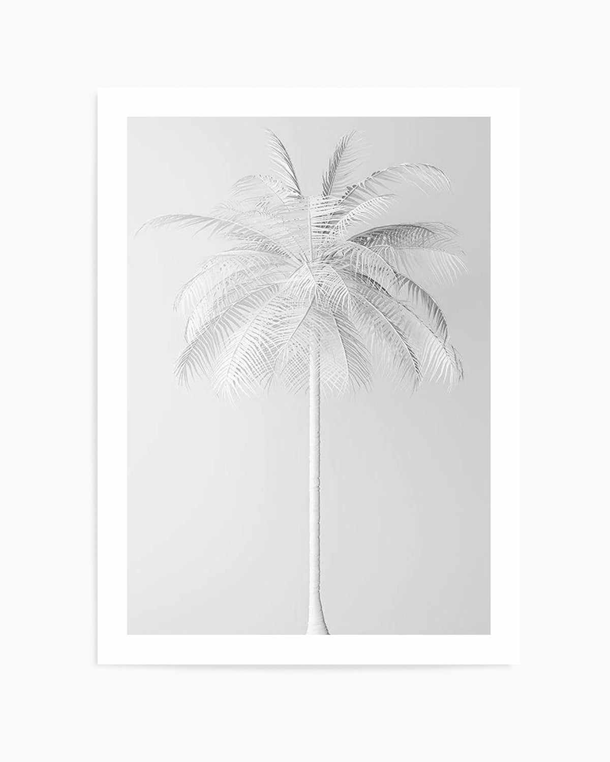 White Palm on Grey   Art Print