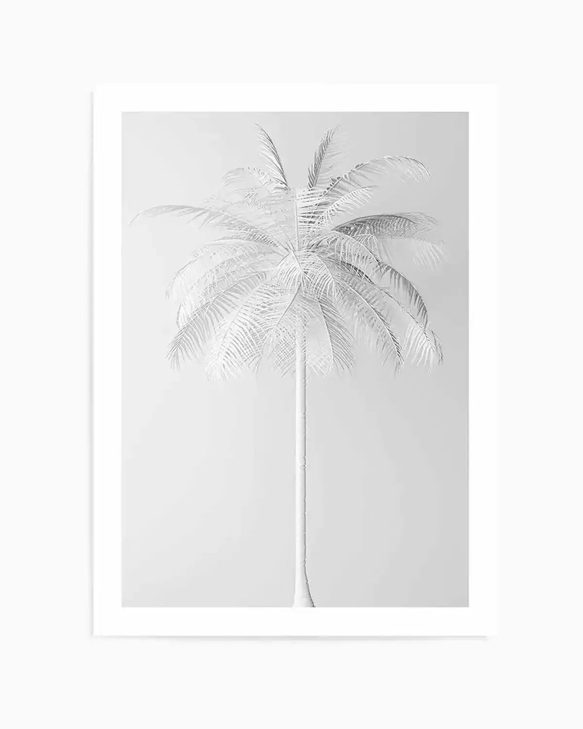 White Palm on Grey Art Print from Olive et Oriel where you can shop wallpaper and artworks online