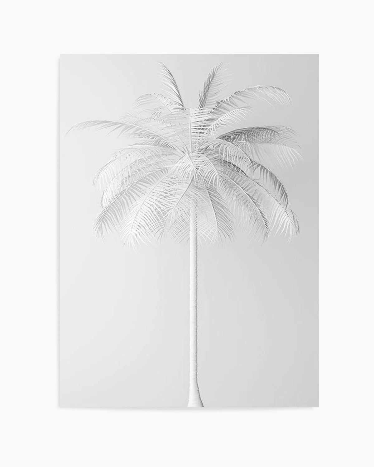 White Palm on Grey   Art Print