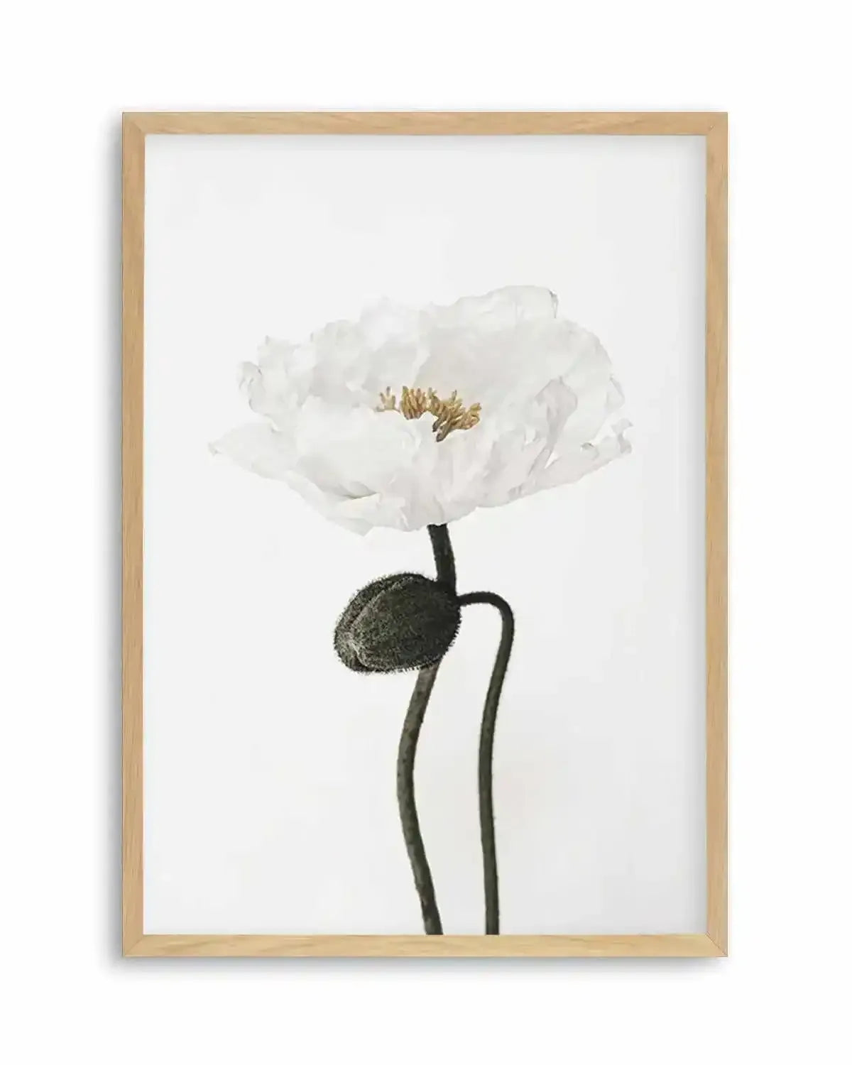White Poppy I Art Print from Olive et Oriel where you can shop wallpaper and artworks online