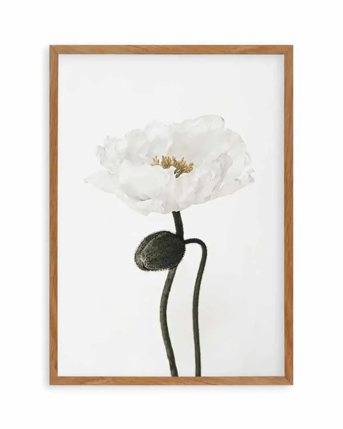 White Poppy I Art Print from Olive et Oriel where you can shop wallpaper and artworks online