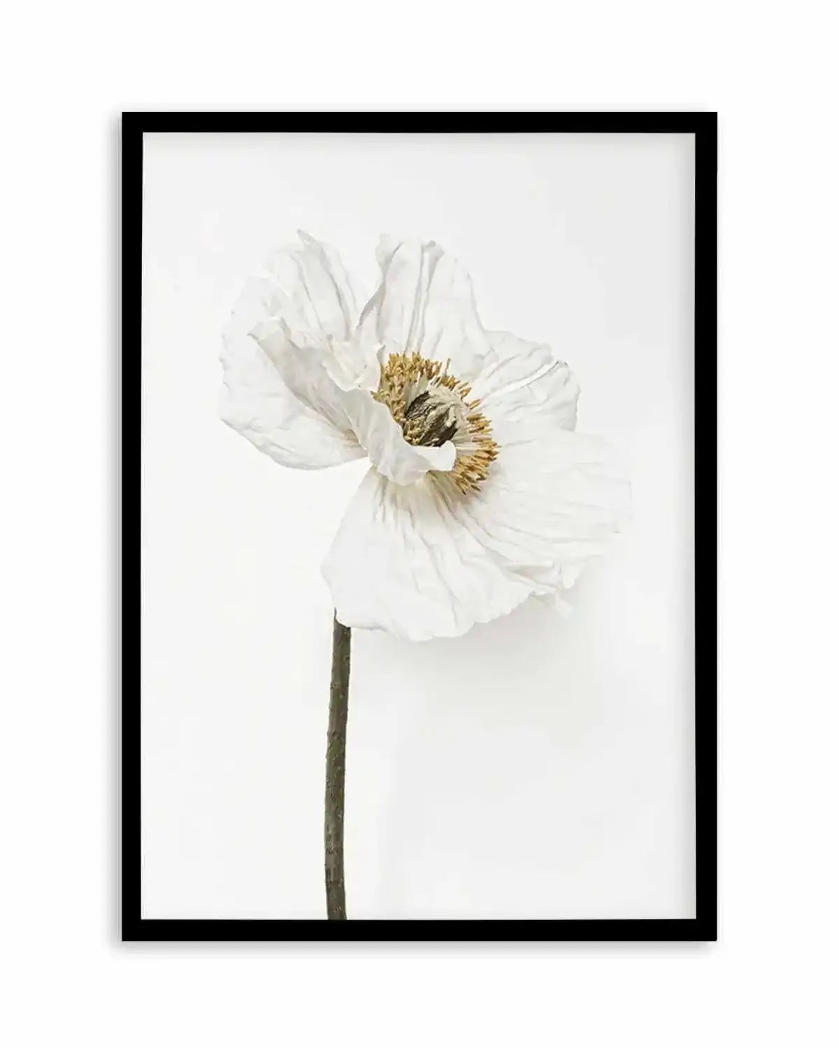 White Poppy II Art Print from Olive et Oriel where you can shop wallpaper and artworks online