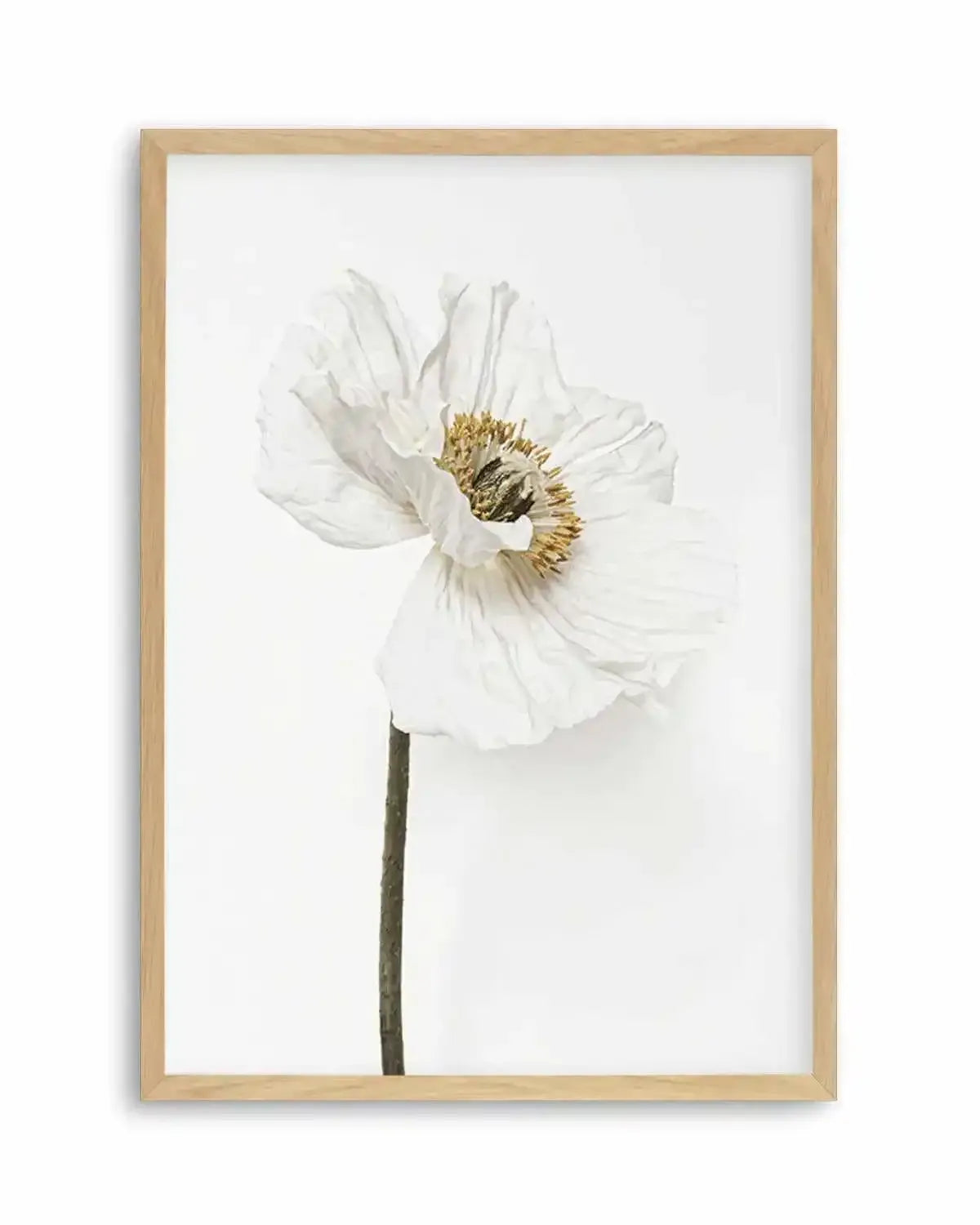 White Poppy II Art Print from Olive et Oriel where you can shop wallpaper and artworks online