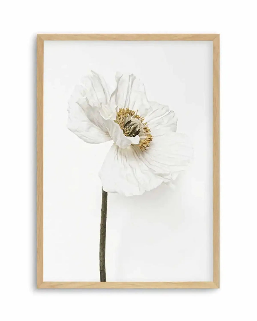 White Poppy II Art Print from Olive et Oriel where you can shop wallpaper and artworks online
