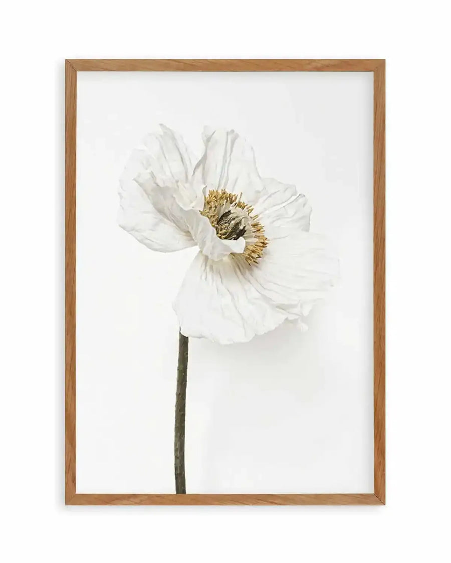 White Poppy II Art Print from Olive et Oriel where you can shop wallpaper and artworks online