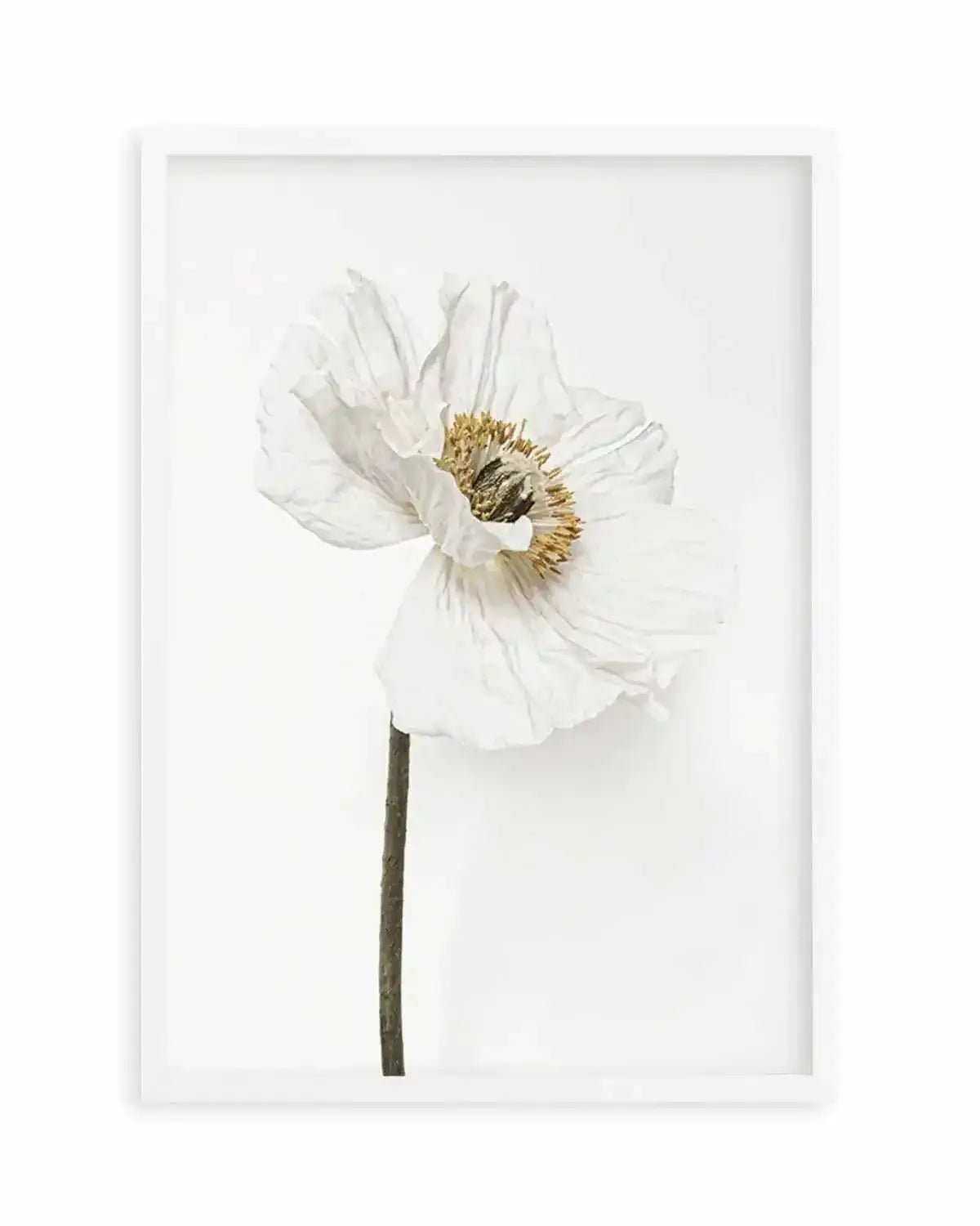 White Poppy II Art Print from Olive et Oriel where you can shop wallpaper and artworks online