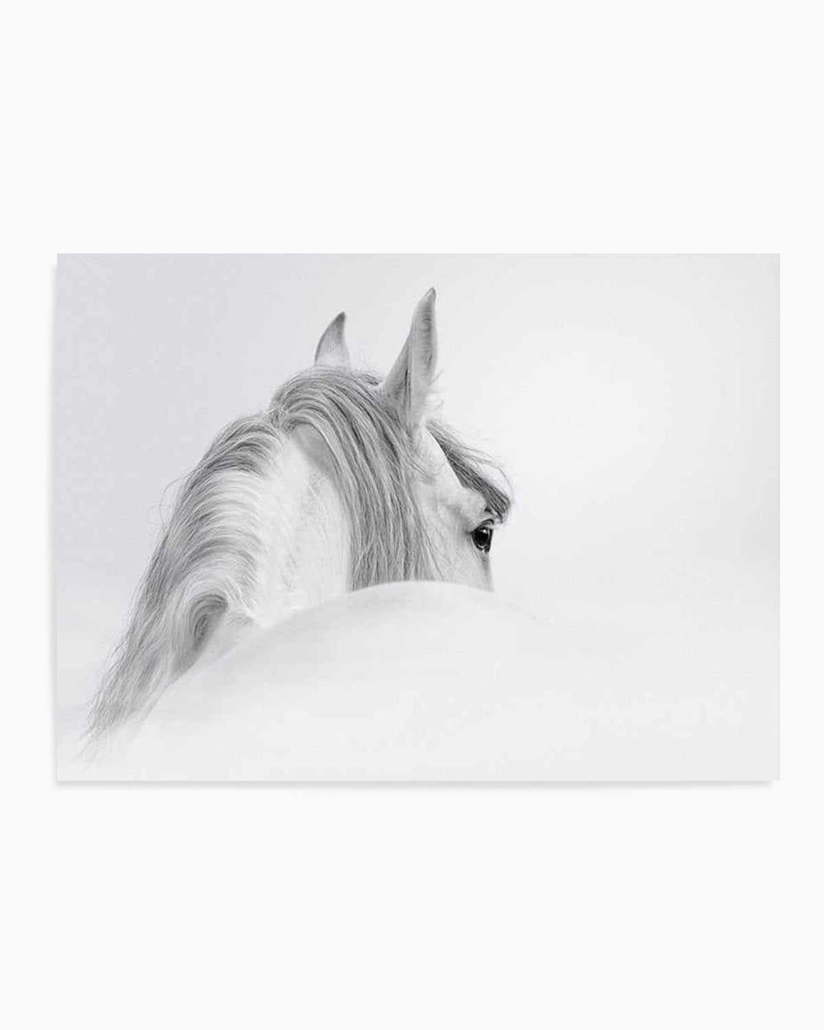 White Spirit Art Print