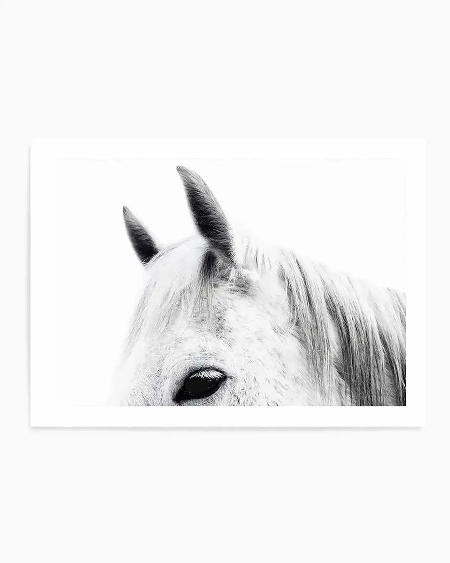 Black and white photographic art print featuring a close-up portrait of a white horse's head against a light background. The composition captures the horse's ears, eye, and flowing mane in sharp detail, with soft lighting creating a serene, minimalist aesthetic. The print is mounted on white paper with a thin white border and appears to be unframed, displaying the photograph's grayscale tones and fine textural details of the horse's fur and features.