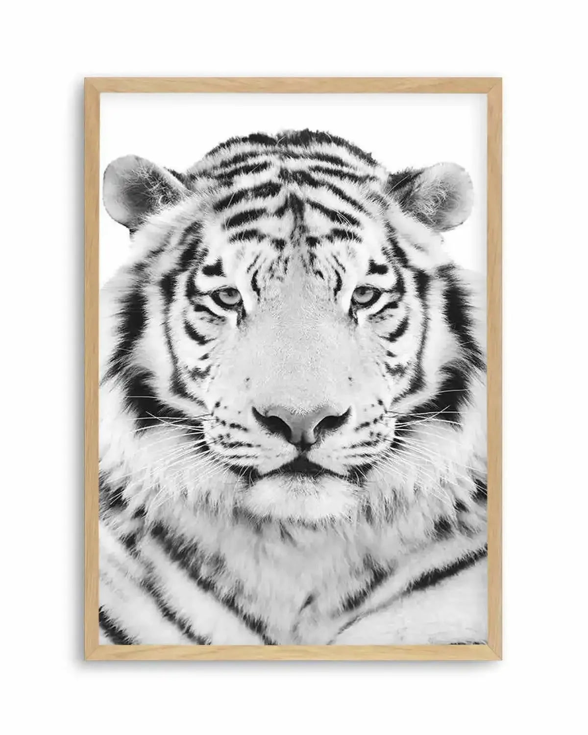 White Tiger Art Print from Olive et Oriel where you can shop wallpaper and artworks online