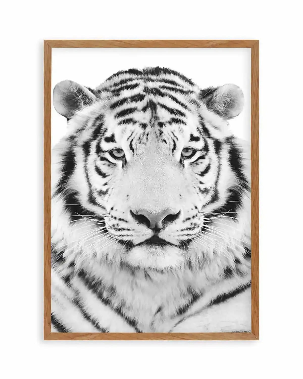 White Tiger Art Print from Olive et Oriel where you can shop wallpaper and artworks online