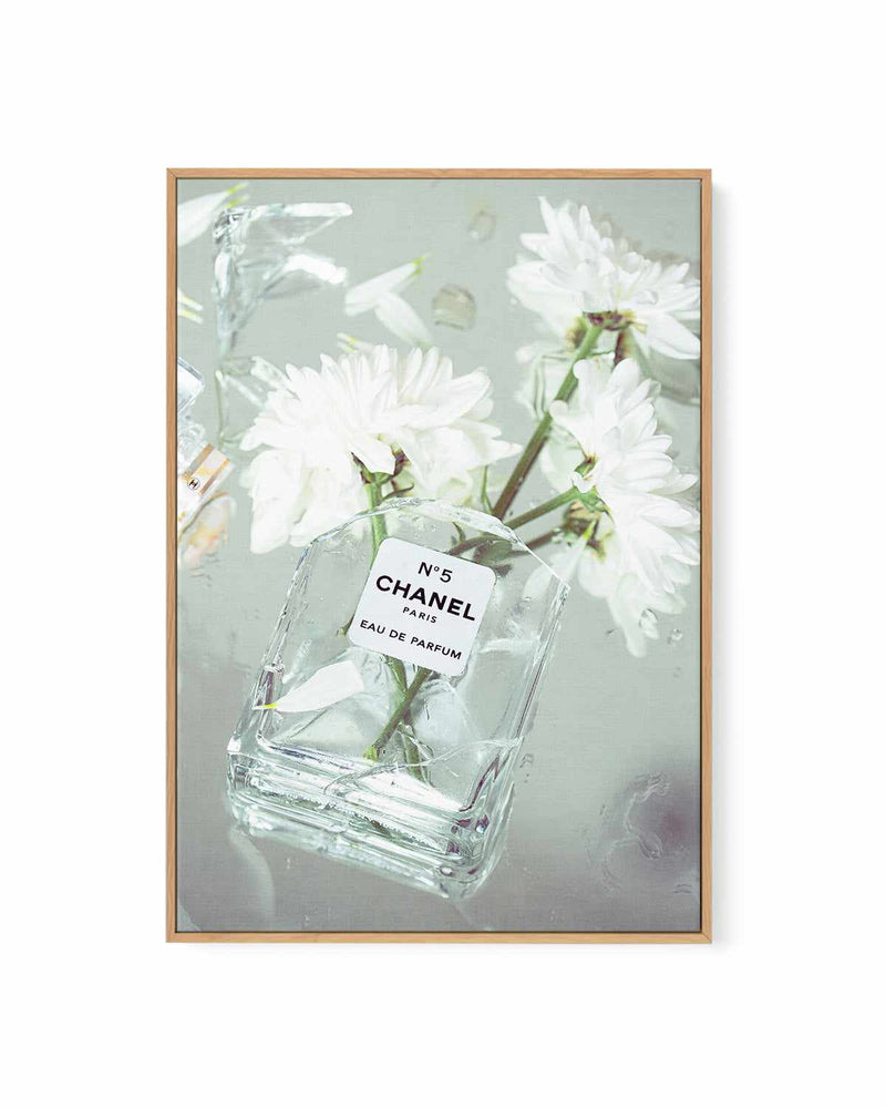 White Daisies No 2 by Mario Stefanelli | Framed Canvas Art Print