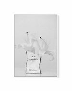 White Lily No 1 by Mario Stefanelli | Framed Canvas Art Print