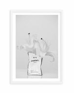 White Lily No 1 by Mario Stefanelli Art Print