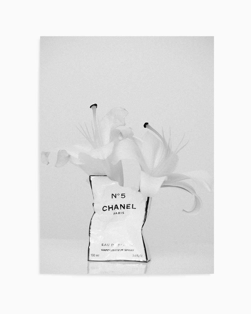 White Lily No 1 by Mario Stefanelli Art Print
