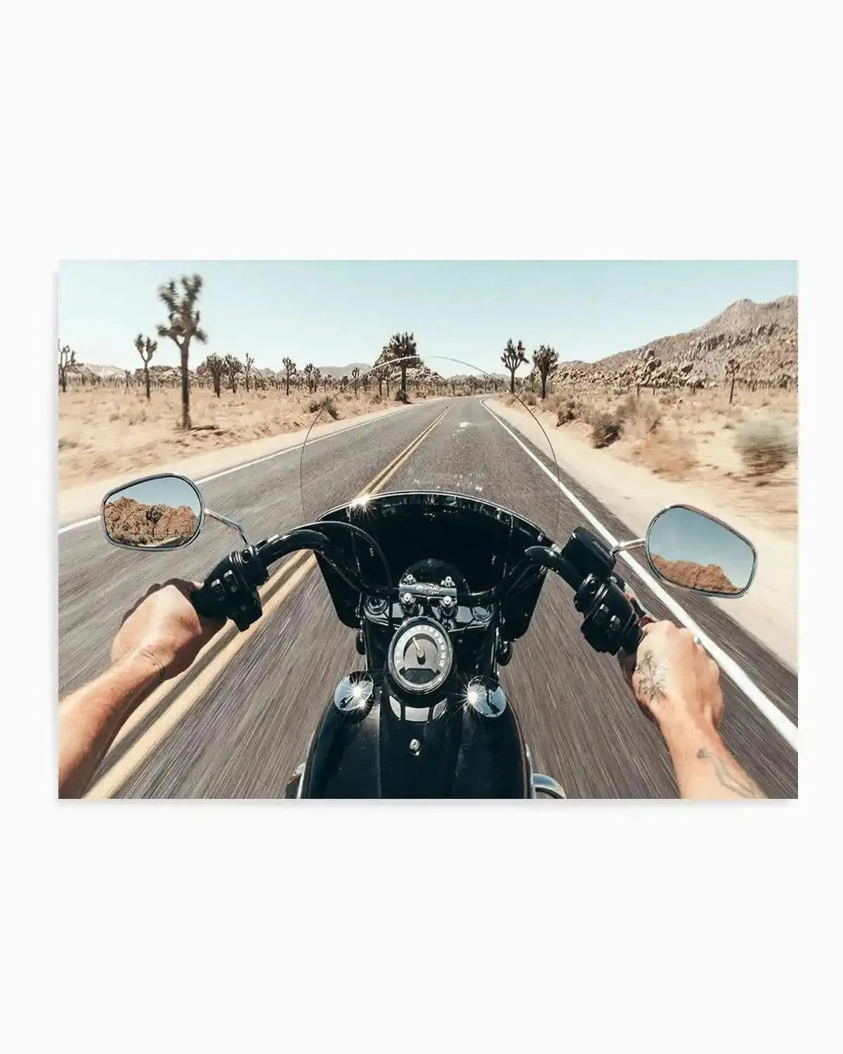 Wide Open by Tim Harris Art Print from Olive et Oriel where you can shop wallpaper and artworks online