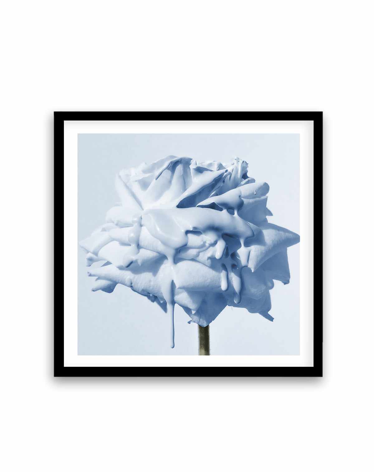 Wild Blue Rose | Art Print