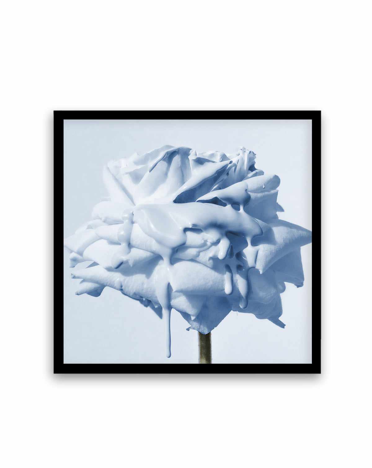 Wild Blue Rose | Art Print