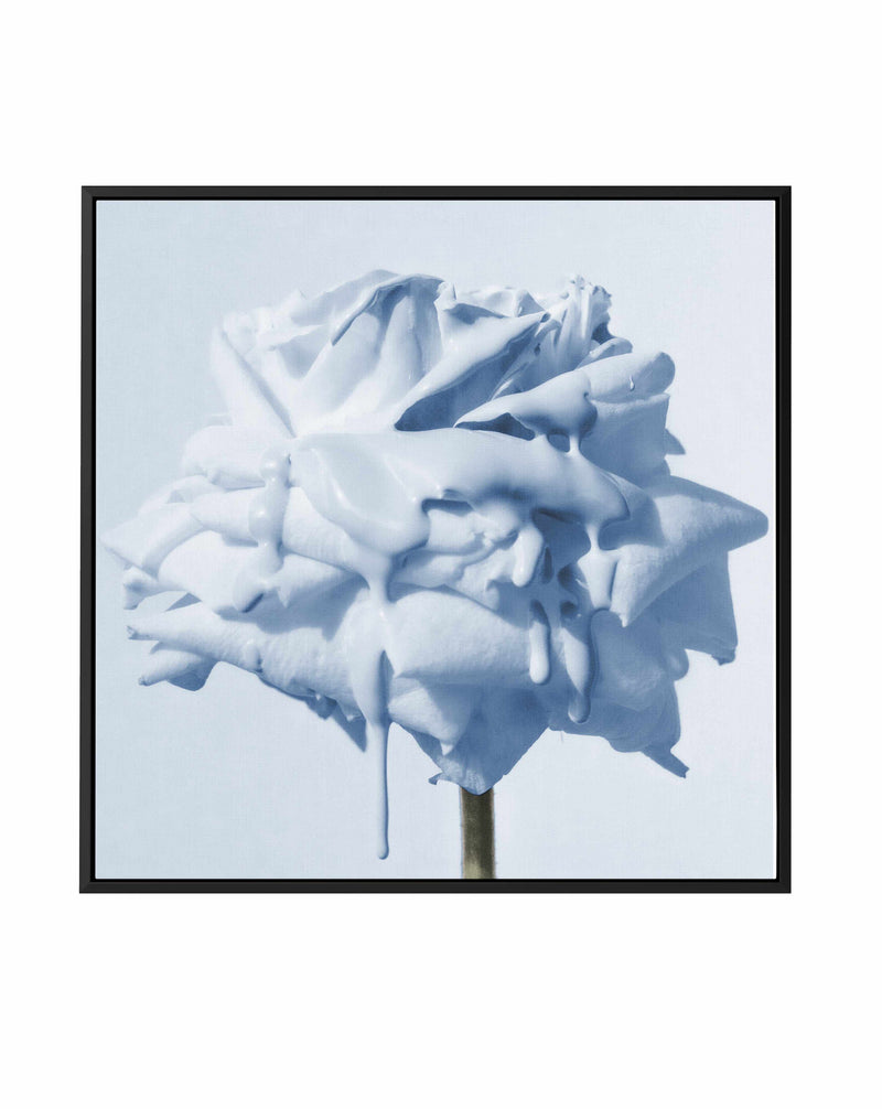 Wild Blue Rose | Framed Canvas Art Print