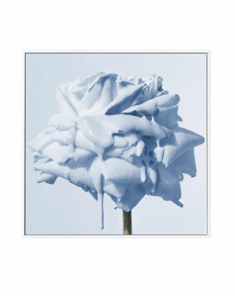 Wild Blue Rose | Framed Canvas Art Print
