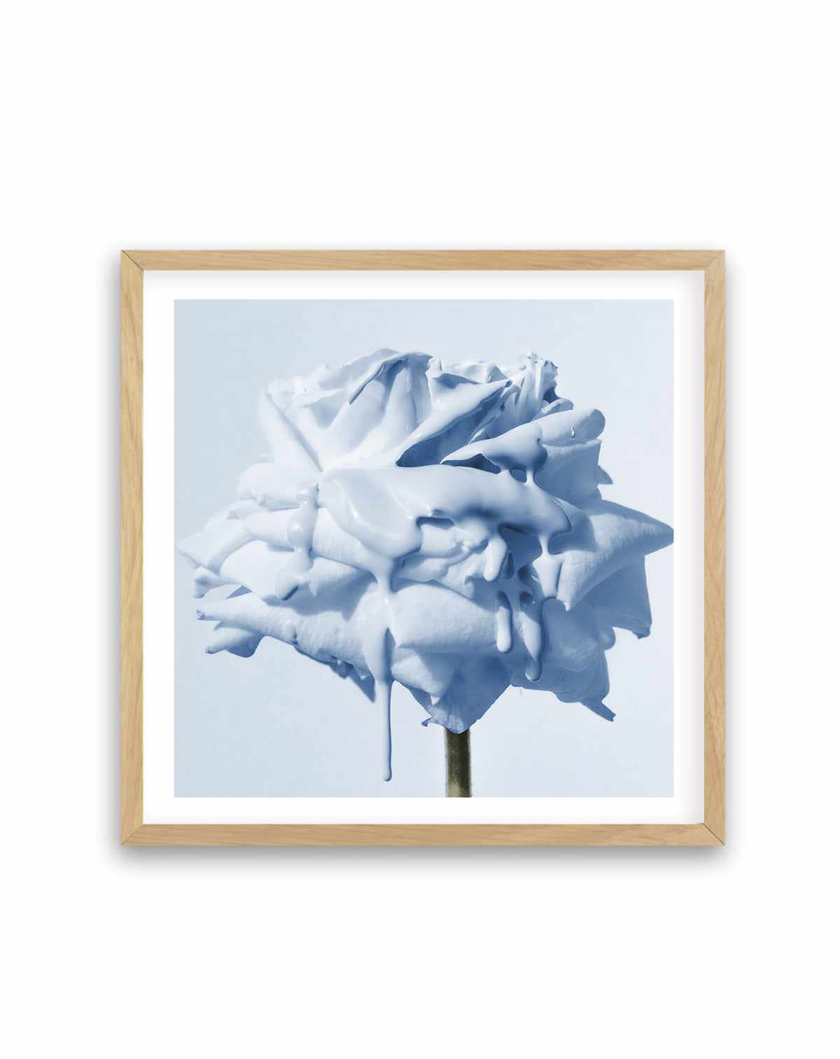 Wild Blue Rose | Art Print