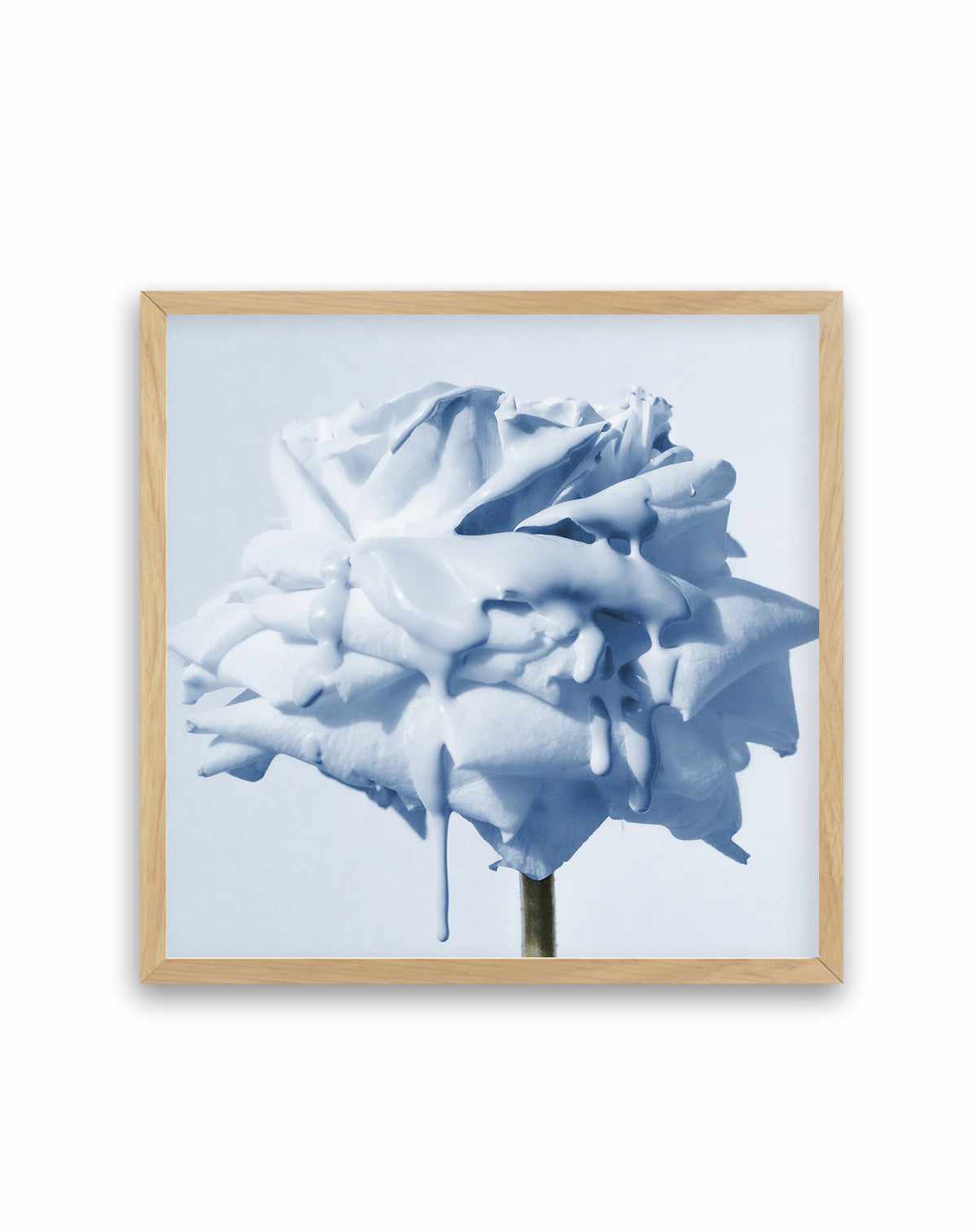 Wild Blue Rose | Art Print