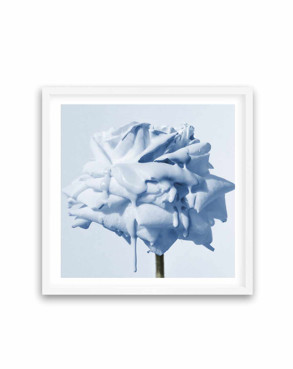 Wild Blue Rose | Art Print