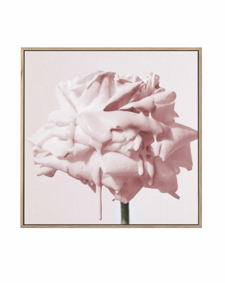 Wild Blush Rose | Framed Canvas Art Print from Olive et Oriel where you can shop wallpaper and artworks online