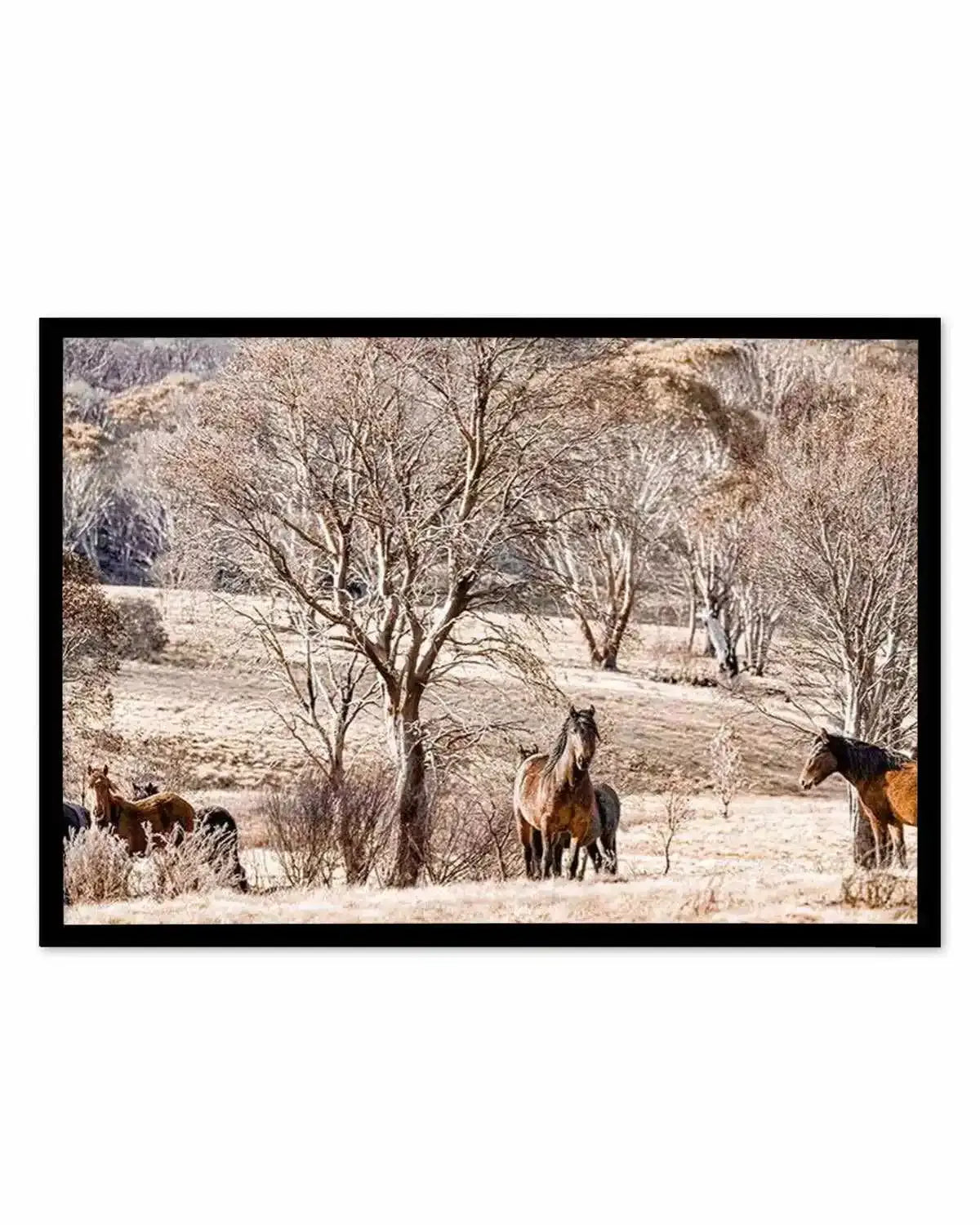 Wild Brumbies | Protector Art Print from Olive et Oriel where you can shop wallpaper and artworks online