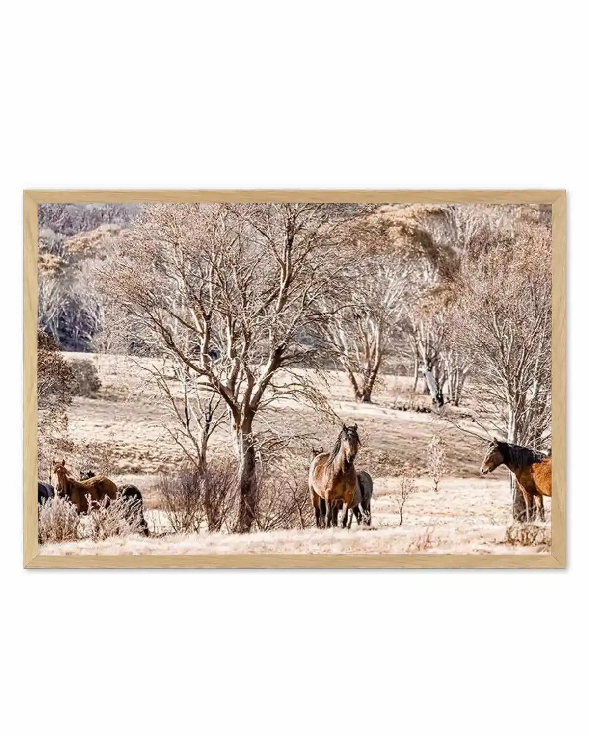 Wild Brumbies | Protector Art Print from Olive et Oriel where you can shop wallpaper and artworks online