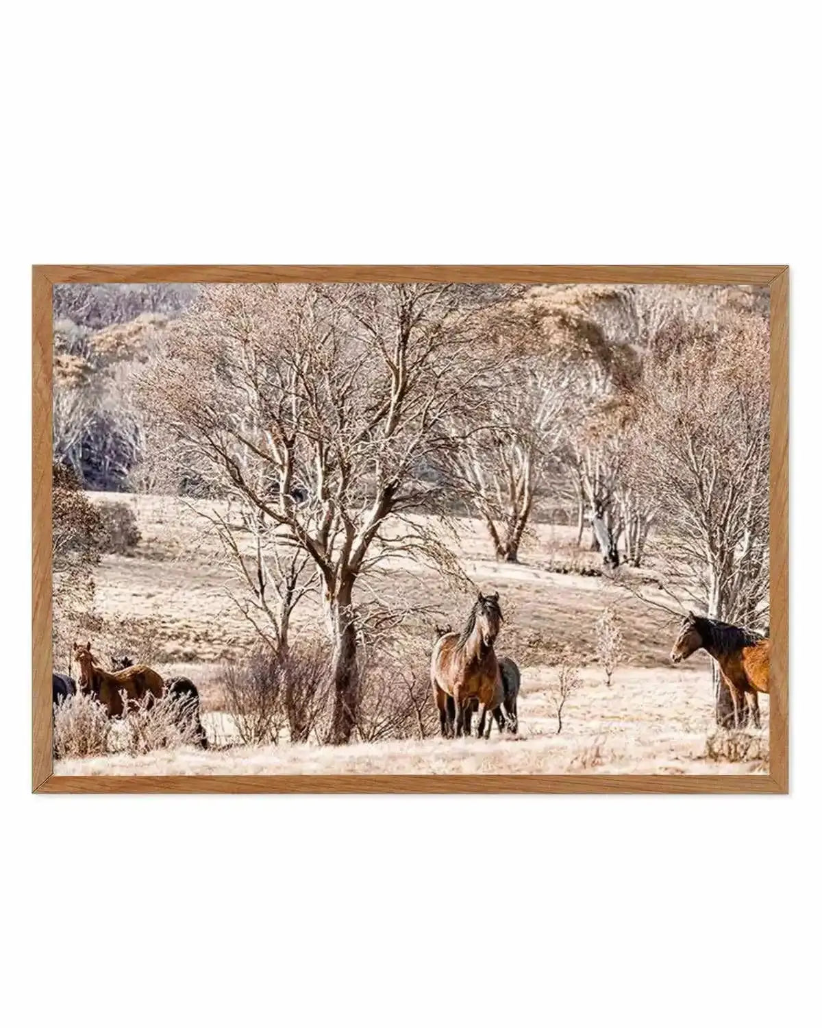 Wild Brumbies | Protector Art Print from Olive et Oriel where you can shop wallpaper and artworks online