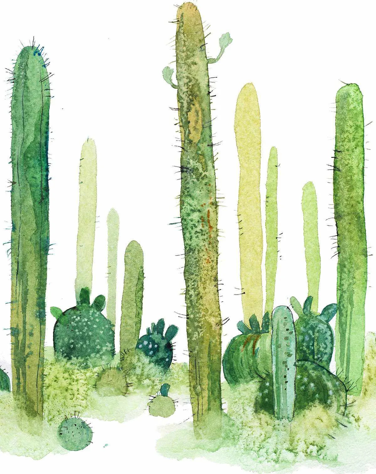 Wild Cactus Wallpaper Mural-Wallpaper-Buy Kids Removable Wallpaper Online Our Custom Made Children√¢‚Ç¨‚Ñ¢s Wallpapers Are A Fun Way To Decorate And Enhance Boys Bedroom Decor And Girls Bedrooms They Are An Amazing Addition To Your Kids Bedroom Walls Our Collection of Kids Wallpaper Is Sure To Transform Your Kids Rooms Interior Style From Pink Wallpaper To Dinosaur Wallpaper Even Marble Wallpapers For Teen Boys Shop Peel And Stick Wallpaper Online Today With Olive et Oriel