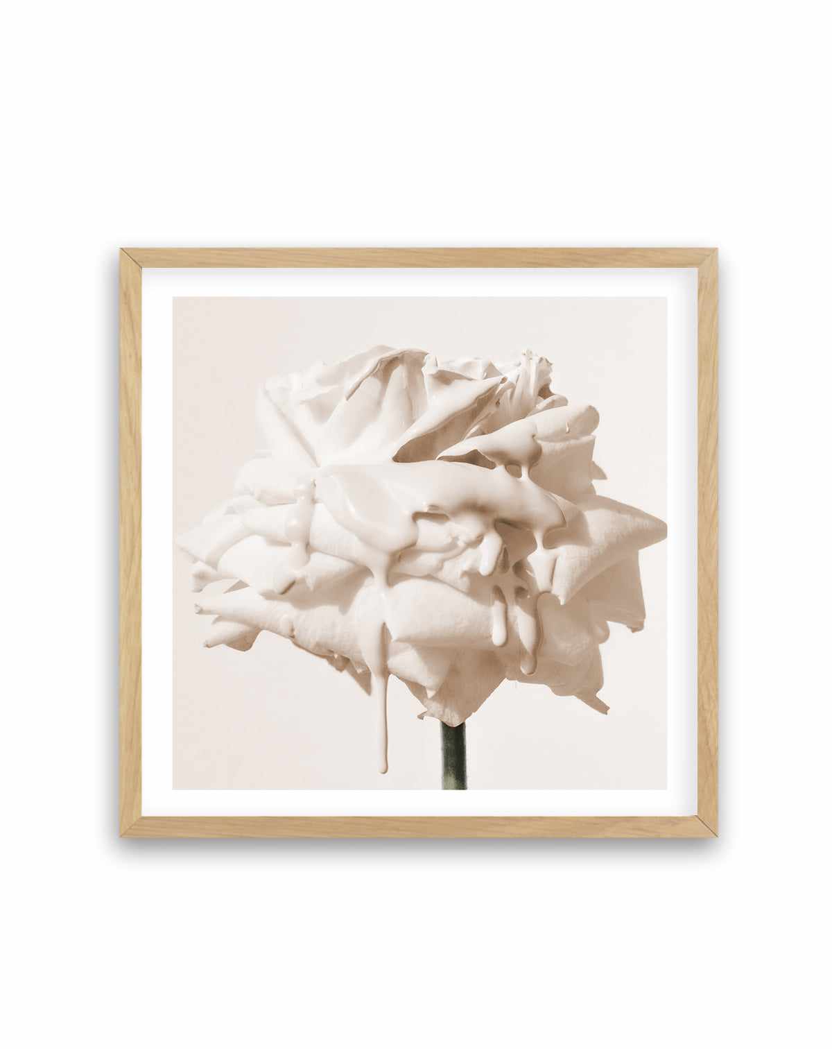 Wild Cream Rose | Art Print