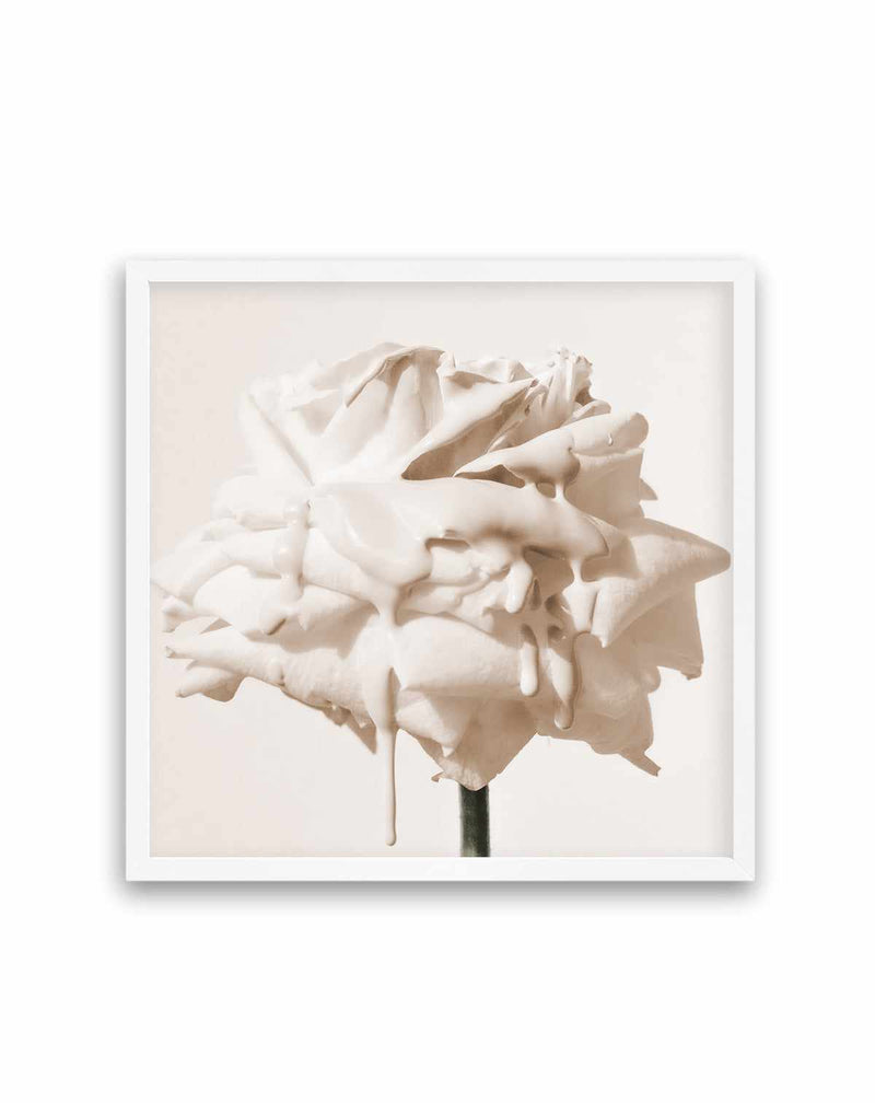 Wild Cream Rose | Art Print