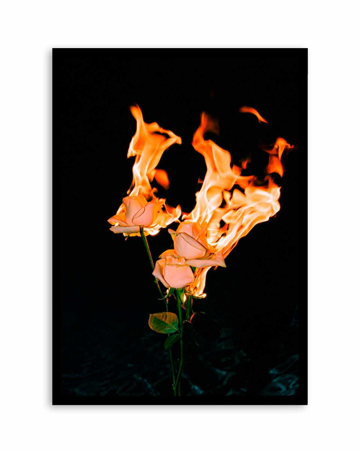 Wild Fire by Mario Stefanelli Art Print