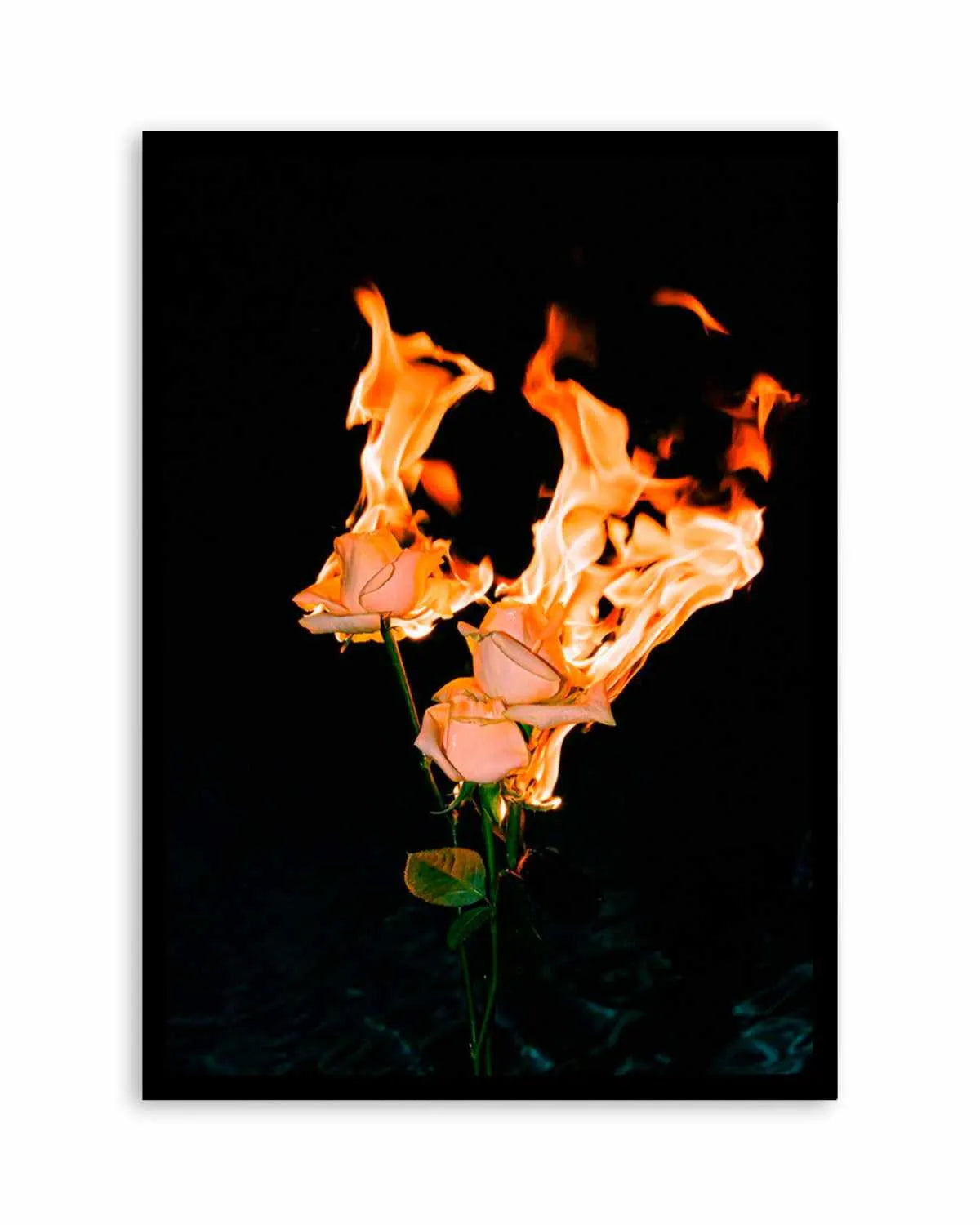 Wild Fire by Mario Stefanelli Art Print from Olive et Oriel where you can shop wallpaper and artworks online