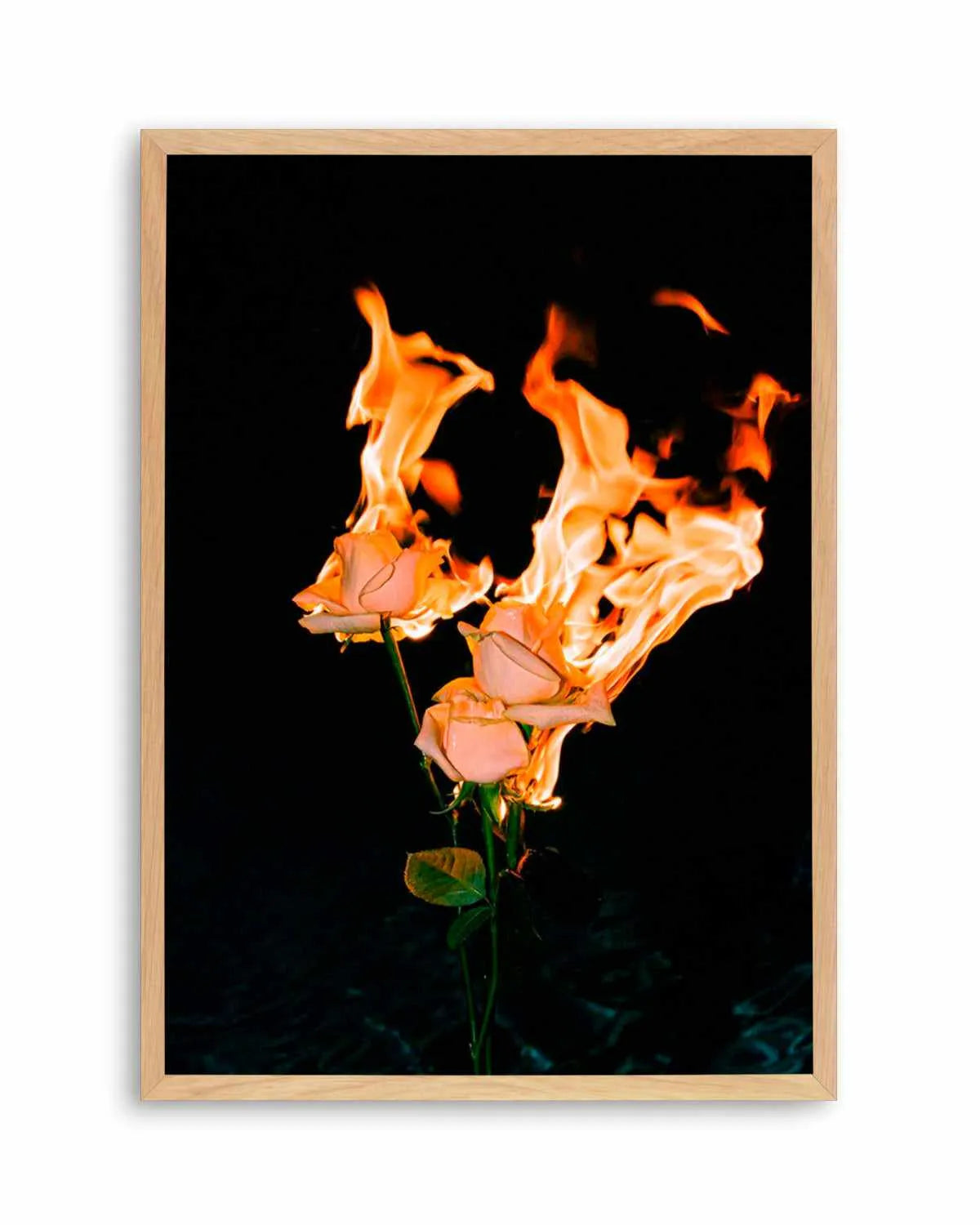 Wild Fire by Mario Stefanelli Art Print from Olive et Oriel where you can shop wallpaper and artworks online