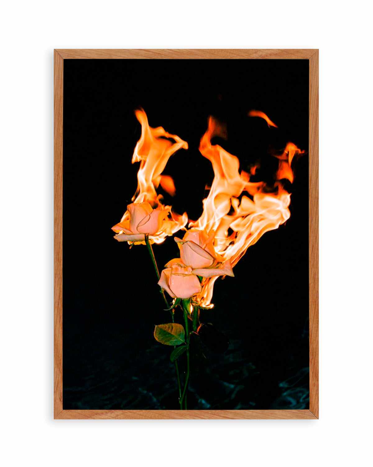 Wild Fire by Mario Stefanelli Art Print