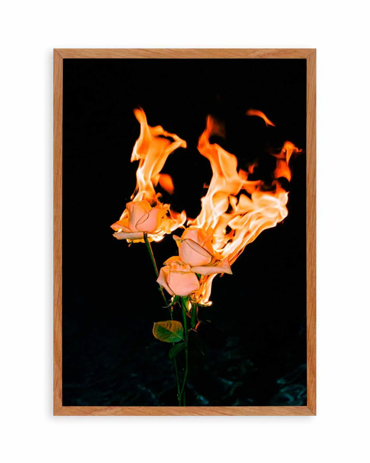 Wild Fire by Mario Stefanelli Art Print from Olive et Oriel where you can shop wallpaper and artworks online