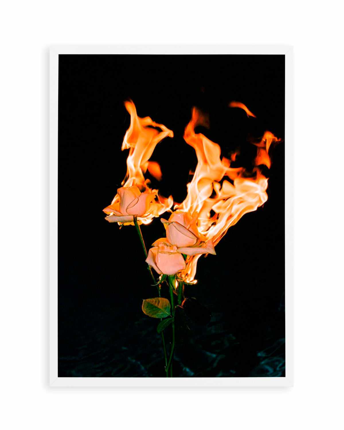 Wild Fire by Mario Stefanelli Art Print