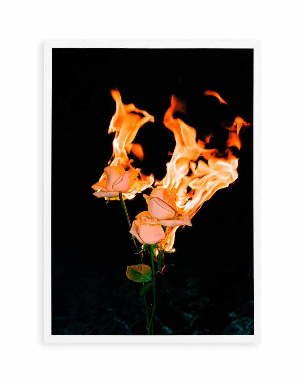 Wild Fire by Mario Stefanelli Art Print from Olive et Oriel where you can shop wallpaper and artworks online