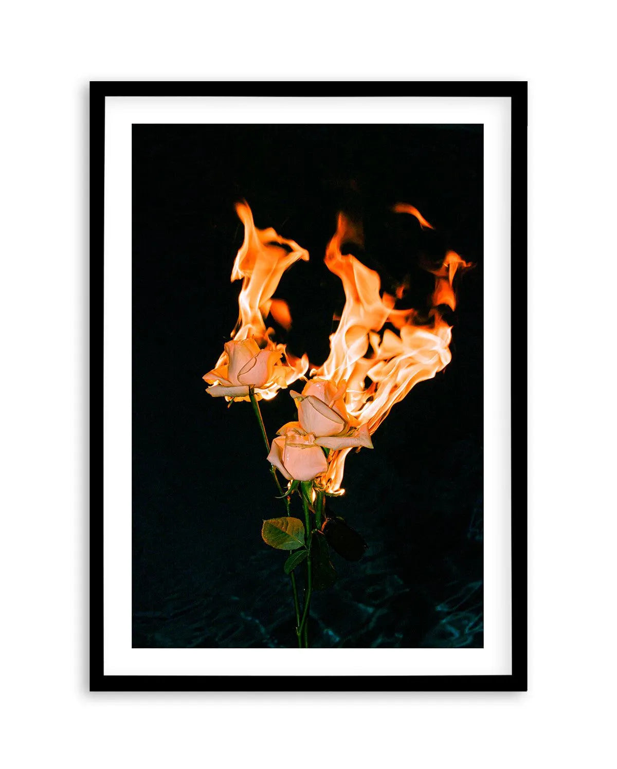 Wild Fire by Mario Stefanelli Art Print-PRINT-Olive et Oriel-Mario Stefanelli-A5 | 5.8" x 8.3" | 14.8 x 21cm-Black-With White Border-Buy-Australian-Art-Prints-Online-with-Olive-et-Oriel-Your-Artwork-Specialists-Austrailia-Decorate-With-Coastal-Photo-Wall-Art-Prints-From-Our-Beach-House-Artwork-Collection-Fine-Poster-and-Framed-Artwork