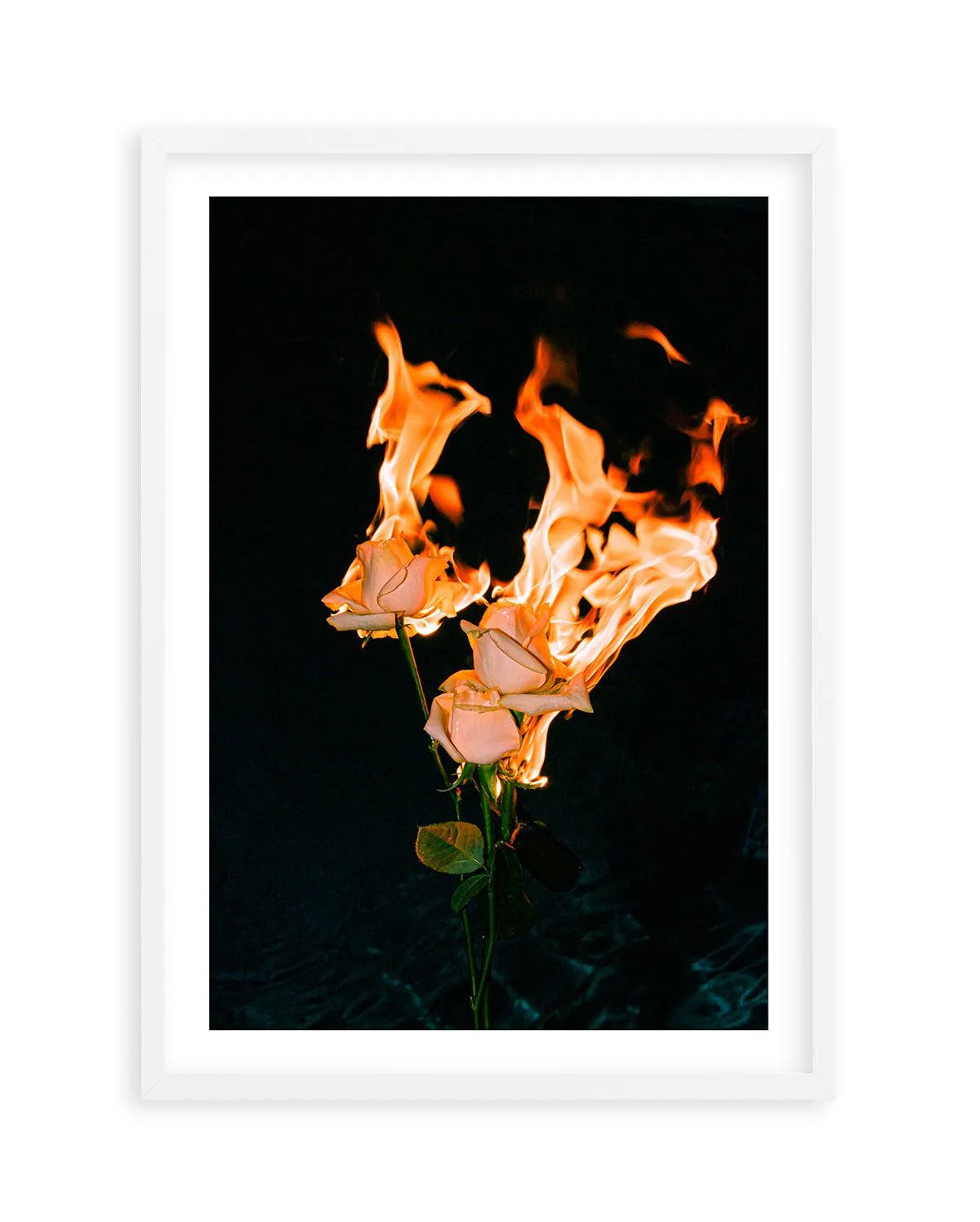 Wild Fire by Mario Stefanelli Art Print-PRINT-Olive et Oriel-Mario Stefanelli-A5 | 5.8" x 8.3" | 14.8 x 21cm-White-With White Border-Buy-Australian-Art-Prints-Online-with-Olive-et-Oriel-Your-Artwork-Specialists-Austrailia-Decorate-With-Coastal-Photo-Wall-Art-Prints-From-Our-Beach-House-Artwork-Collection-Fine-Poster-and-Framed-Artwork