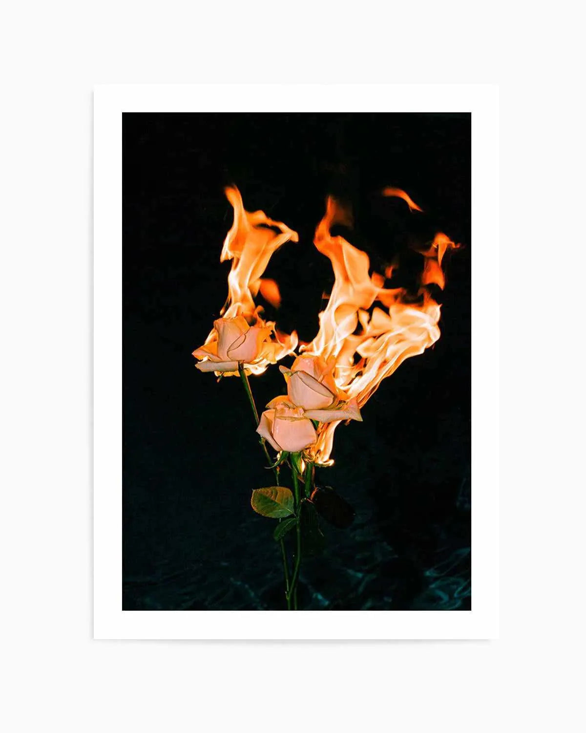 Wild Fire by Mario Stefanelli Art Print from Olive et Oriel where you can shop wallpaper and artworks online