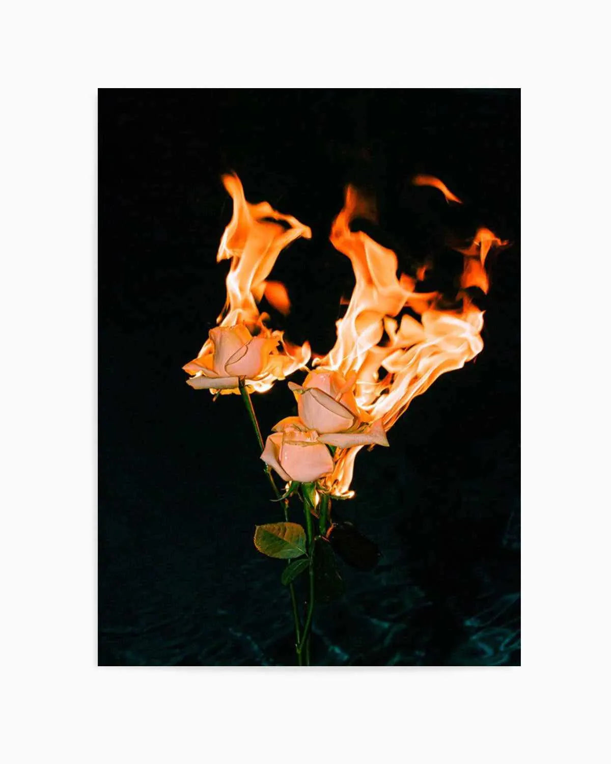 Wild Fire by Mario Stefanelli Art Print from Olive et Oriel where you can shop wallpaper and artworks online