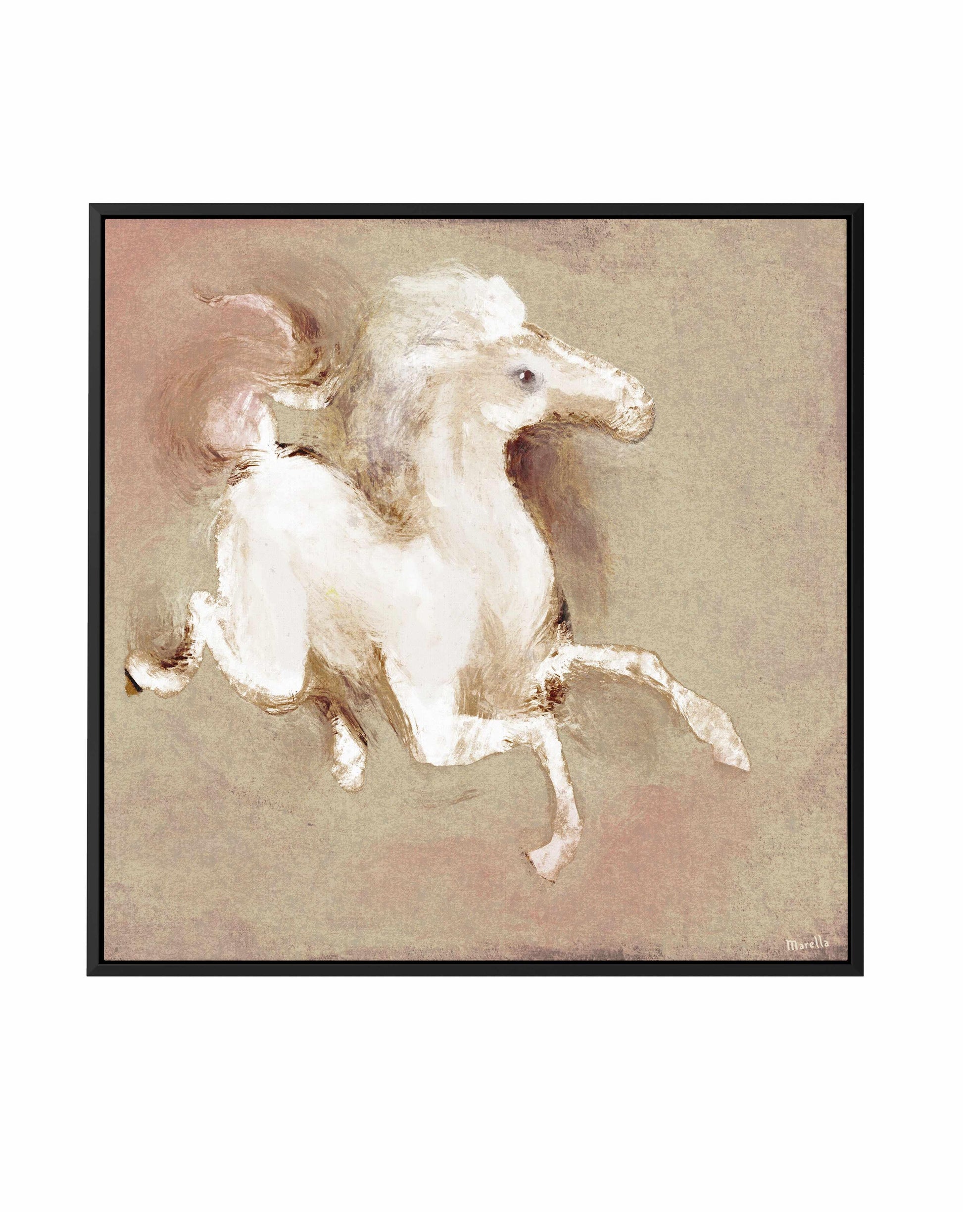 Wild Horse 1 by Marco Marella | Framed Canvas Art Print from Olive et Oriel where you can shop wallpaper and artworks online