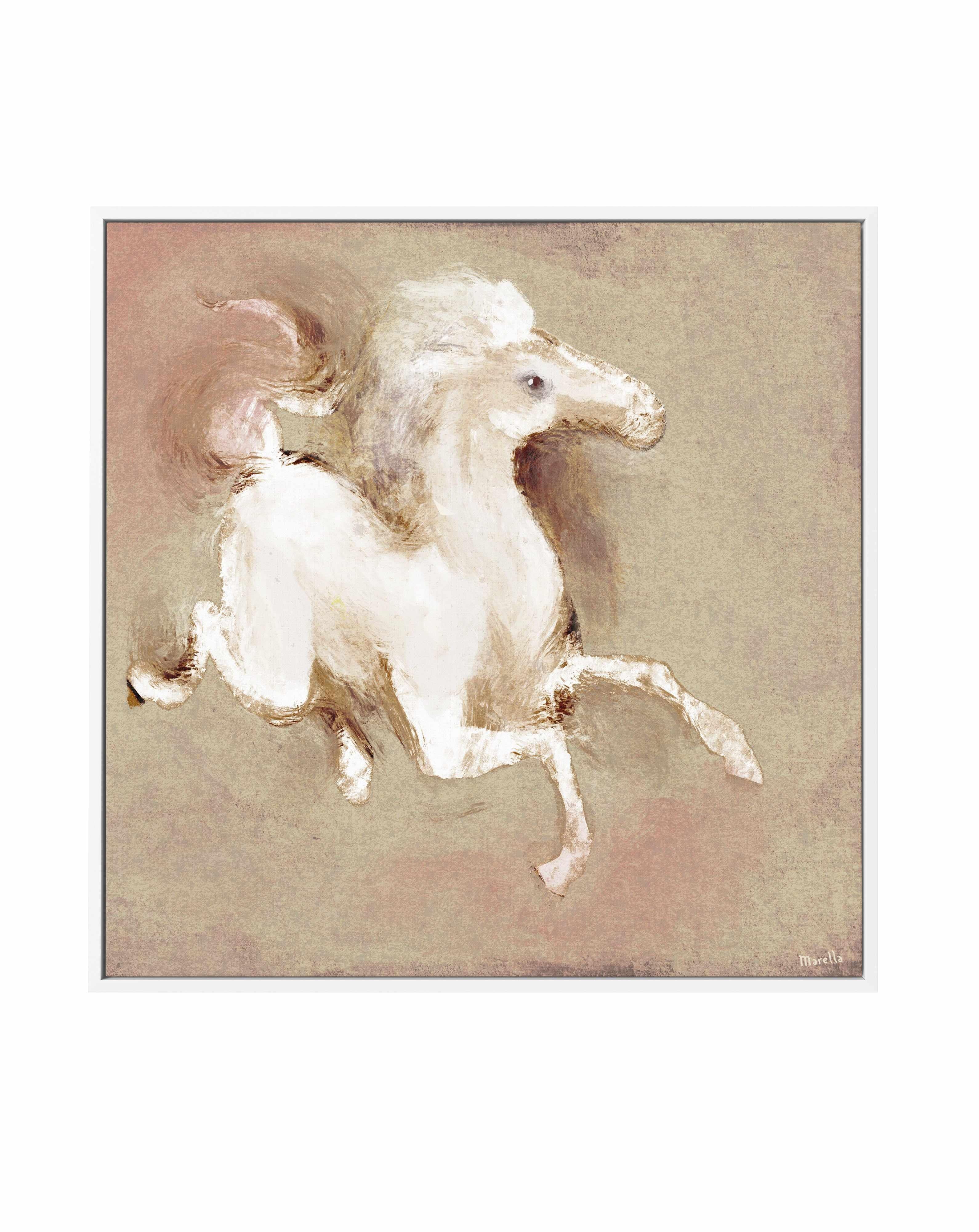 Wild Horse 1 by Marco Marella | Framed Canvas Art Print from Olive et Oriel where you can shop wallpaper and artworks online